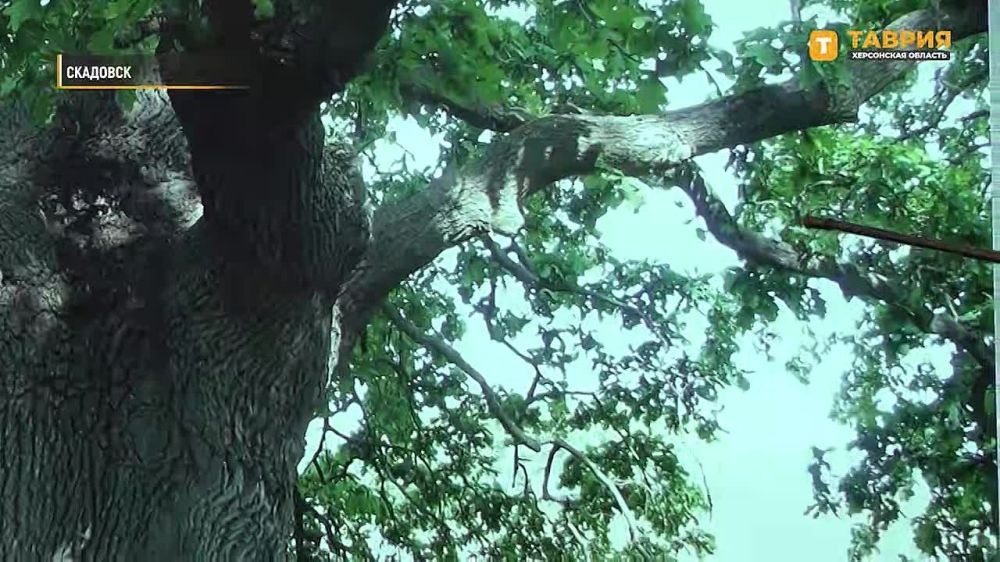 ���������� ������������� ����������� ����������� ������� ���� �� ����������� ��� �������� ���������� ����� �1