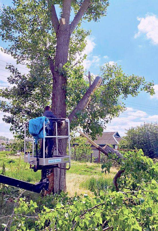 �������� ������������. ������������ ����������� ���������� ���������� ��� ������-����������� ������������� ������ ������� ���������� ��������� ���� �����, �������������� � ���������� �������