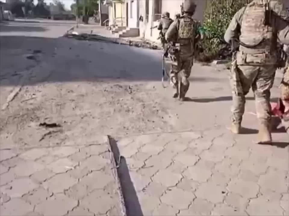 ��������. ���-����� ������� ��� ���������� �����. ��� �� ������, ������ ������� �������������