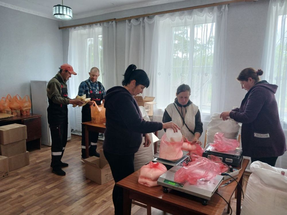 ����� ��������: ������������ ������ ��������� ������� ������ ���������� ��������������