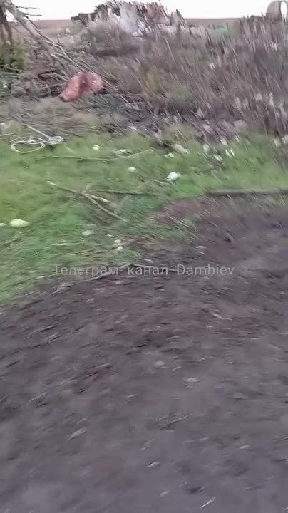 ������������ �� ����������� ����������� ���������� ���-2 � ��������������� Bushmaster PMV �������������� ������������