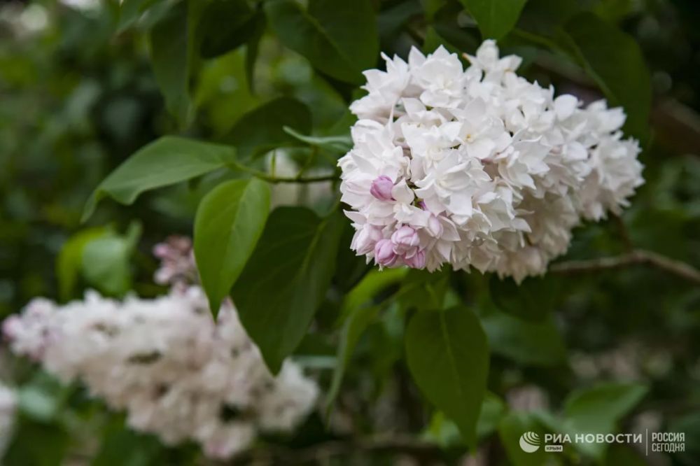 ������ �� ����� ����������� ������