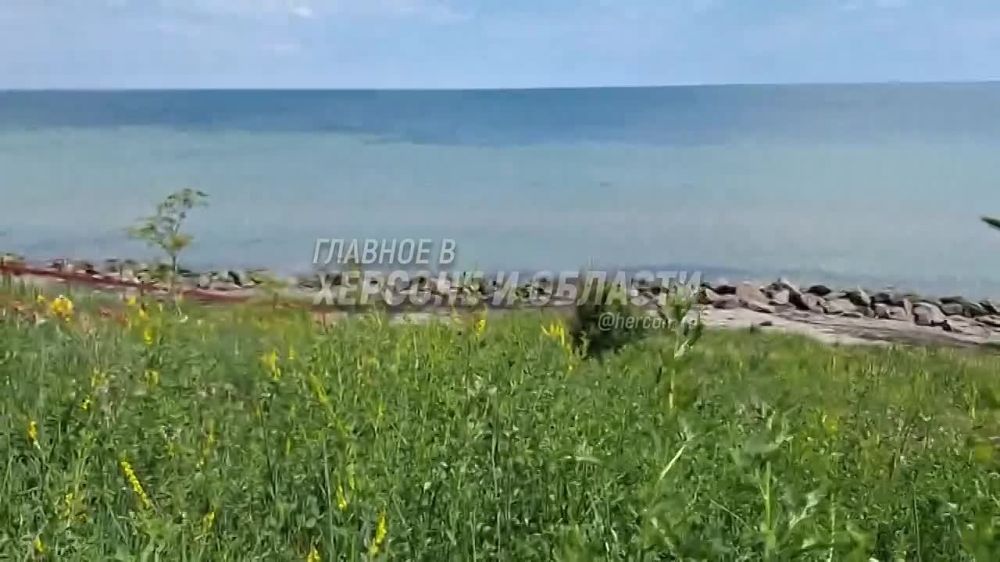 � ��������� ��������� ���� � ����� ������ ��������� �������� ���� ����������