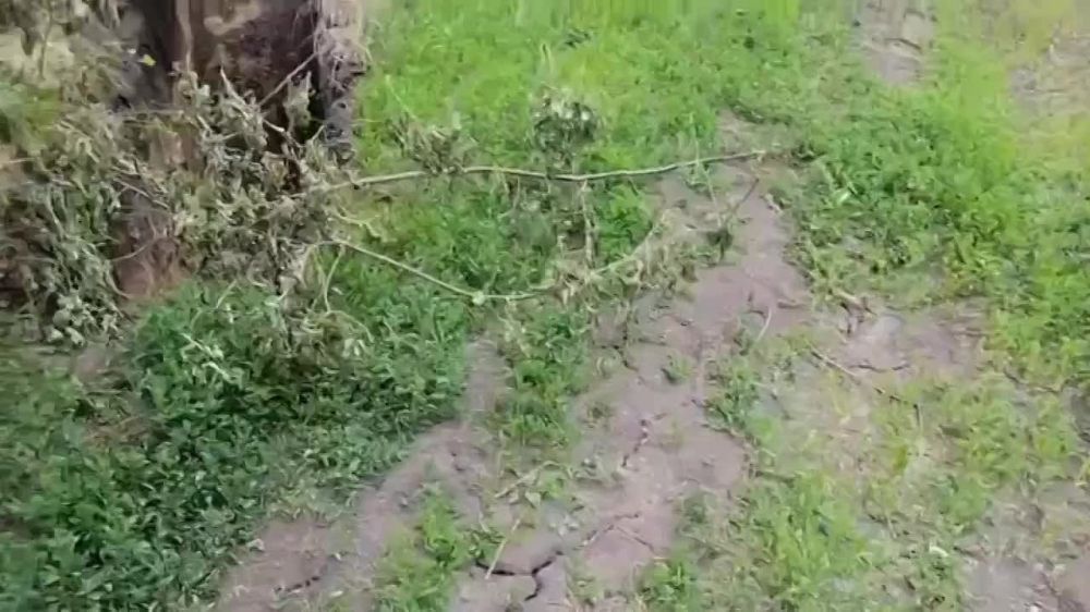 1 ���� �������� ����� ������� �������