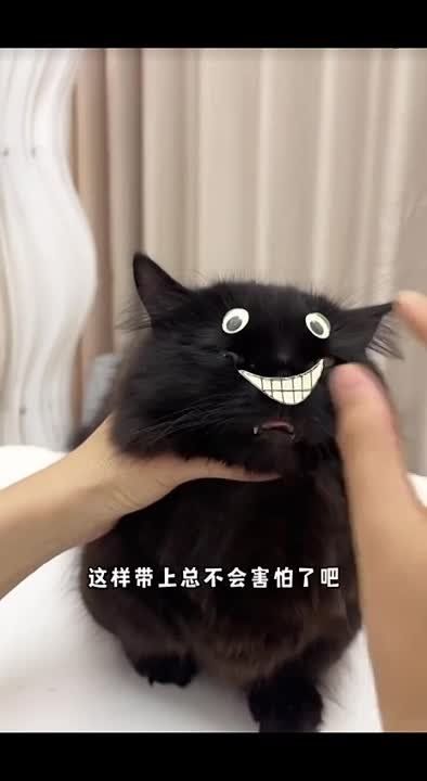 ����� ������ ����� ���������� ������