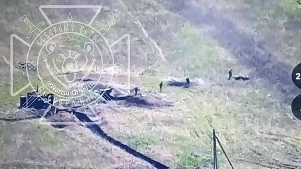 ����������� � �������� �����������: ����� ����������� "�����" ����� �����, ����������� � ������