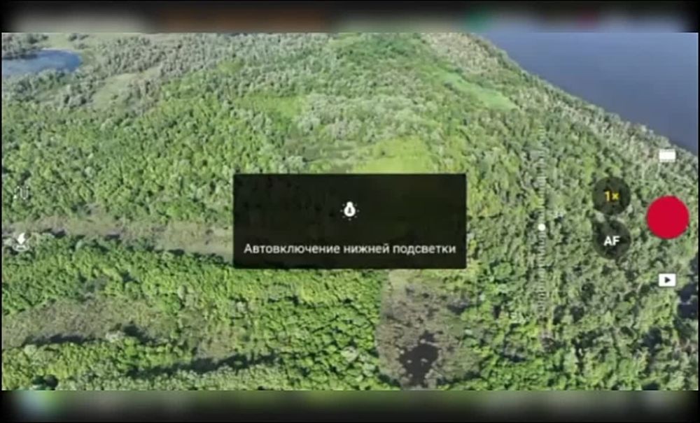 ��� ������: ���������� �����������, ����������� ���������� �����