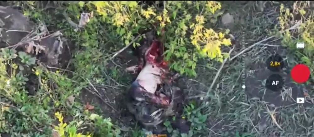 ��������� �������� � �����