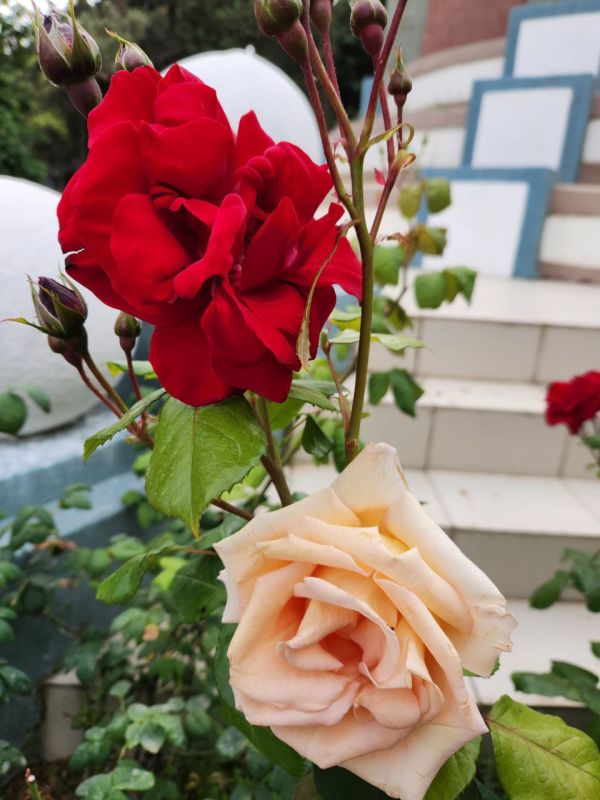 � ������ �����, �����������!