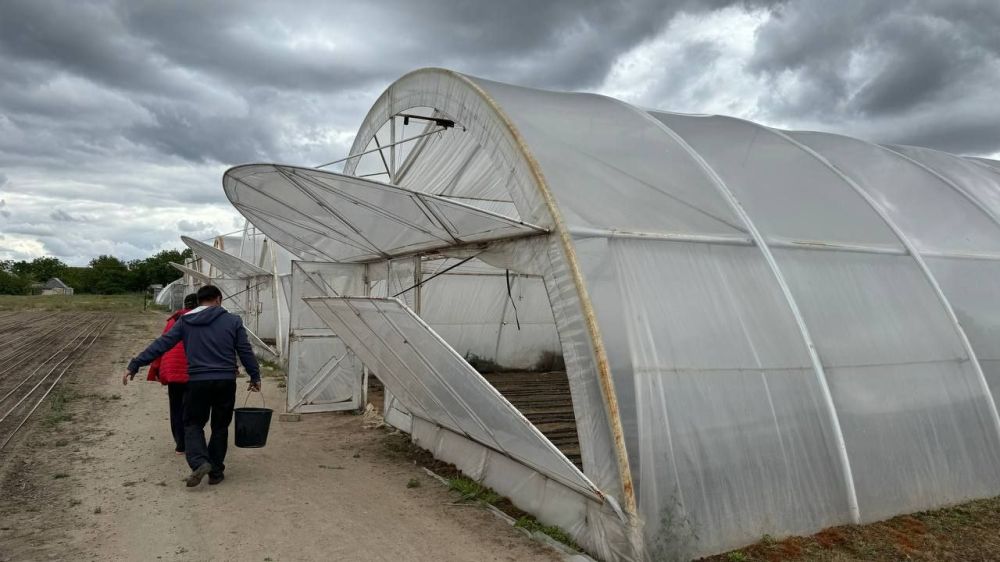 ��������������� ������������� ��������� ��������� � ������������ ��������� ����� �������