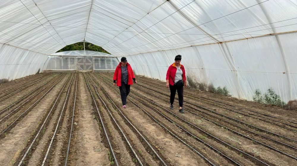 � ����������� ����������� ���������������� ��������������� ��������� ��������� ������ ������ ����� �������