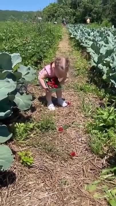 ������, ����������, ����� ����� ����� � � ��������, ������� � ����� ������ �������� �����������