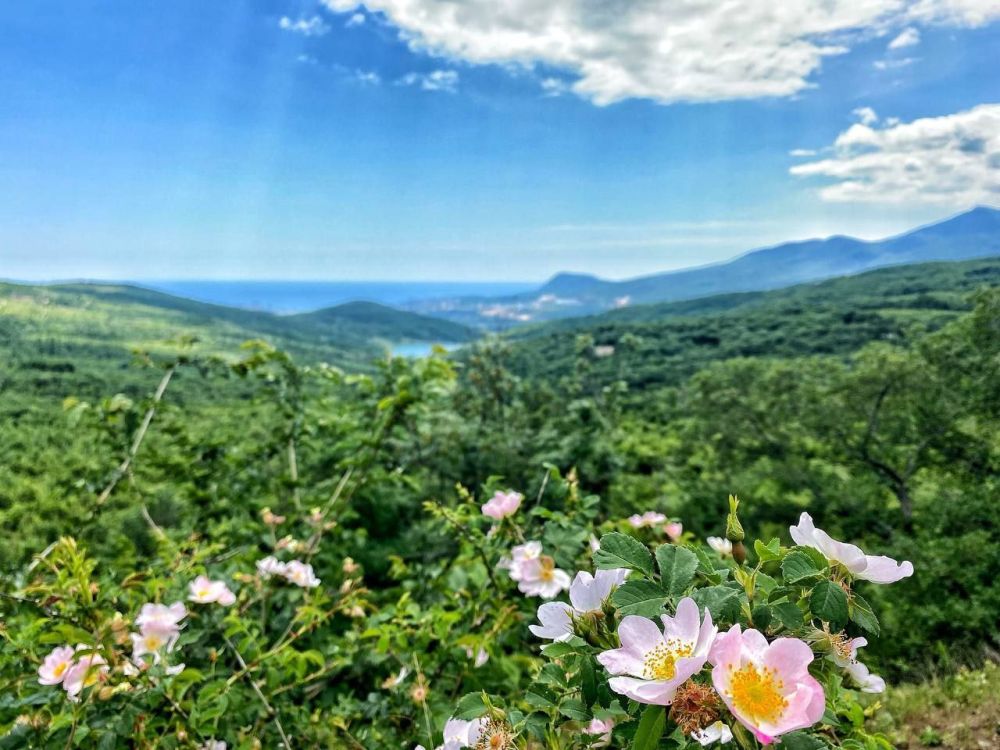 ���� ������ �� ���������� �����!