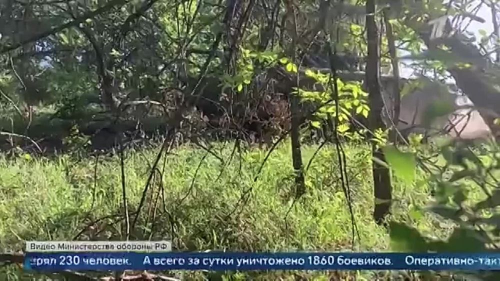 ���������� ������� ������� ������������� �� �������� � ���������� �������