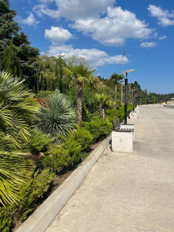 ���������� � ��������� � ��� ��������� ������� ������ �� ������ ������� ����