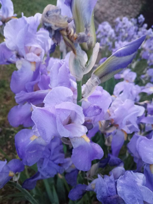 � ������ �����, �����������!