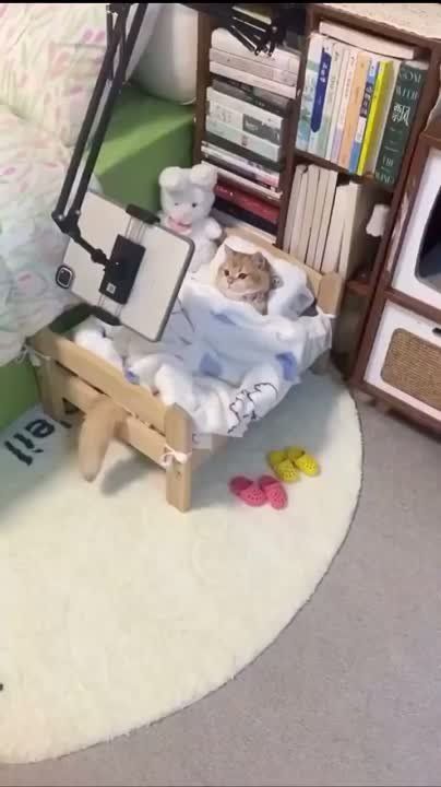 �������� ��� ����������� � ����� ������� �������� ����������������