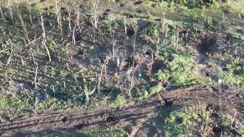 ���� �������� ������������ �������� �������� ���� � ��� �����