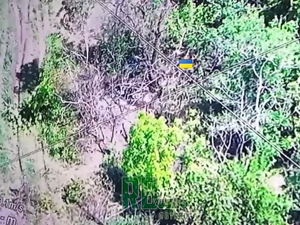 ����-��������������������� ���������� ��������, ���������� � ���������� � ������ ���������