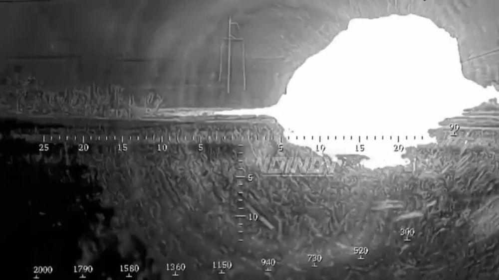 ������ ���� �������� �� ������ ���������� � ������ ��������