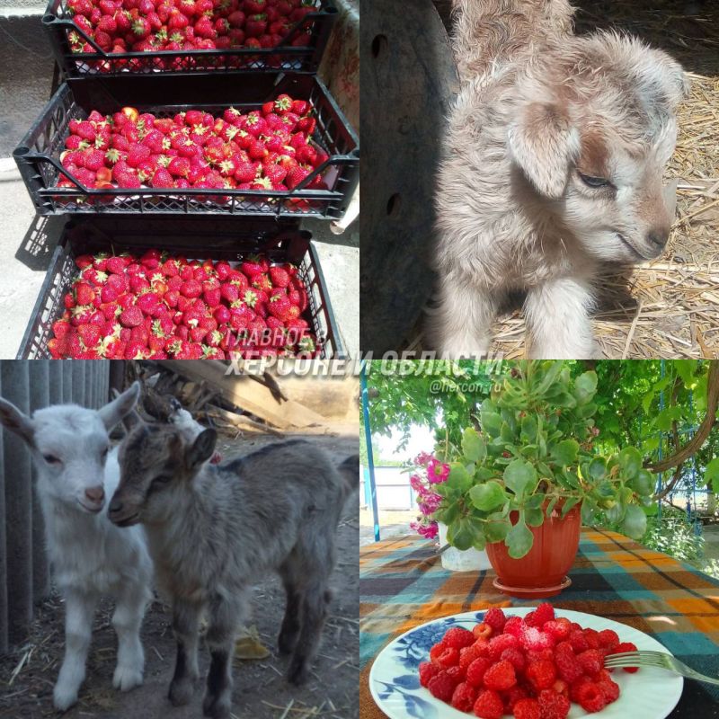 � ������������ ���� � ����� � ����� ������� �� ���������� �������� � ������� � �������