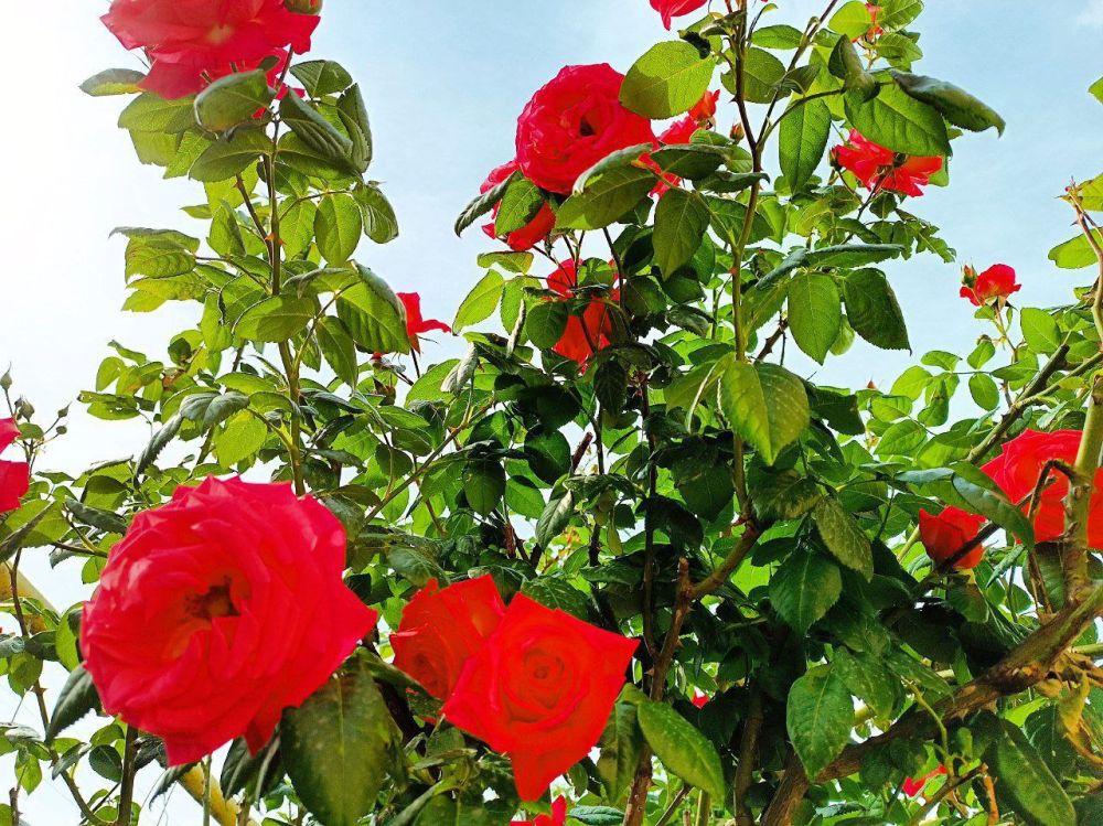 ����� ��������: ��������� ����� � �������