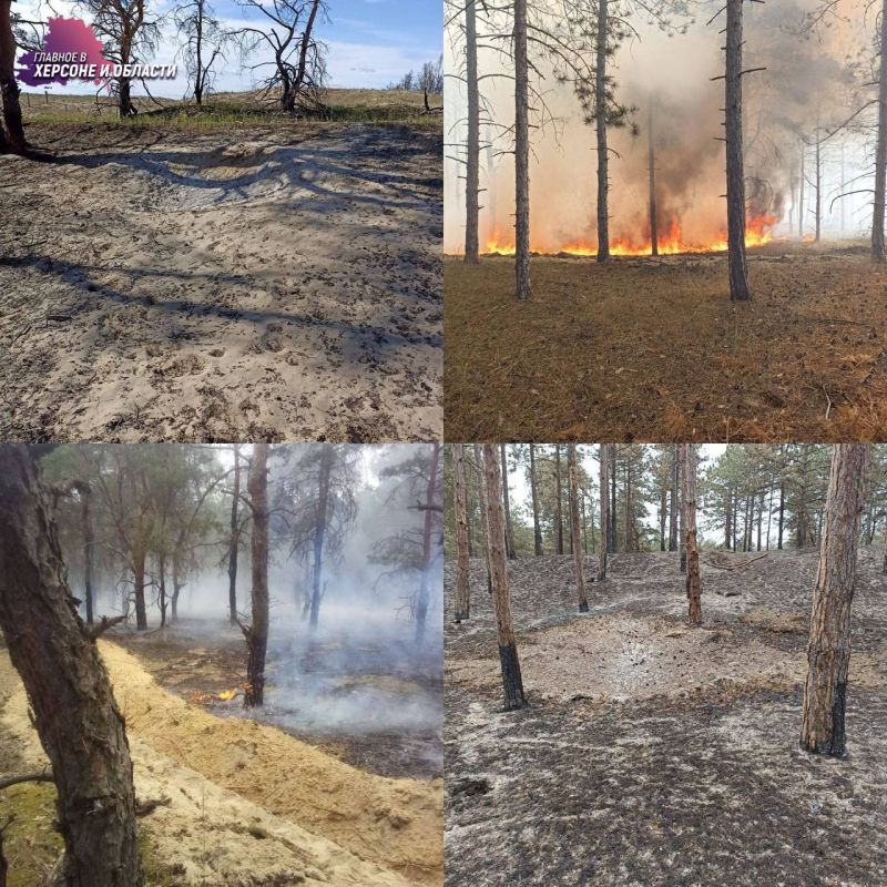 ���������� �������������� ����������� �������� ����� �������� ����� ������ �������