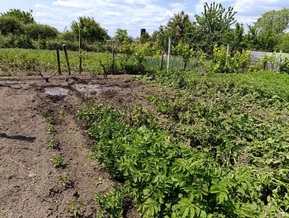 �������� ������: � ���������� ����������� �������� ����������� ������������ ���