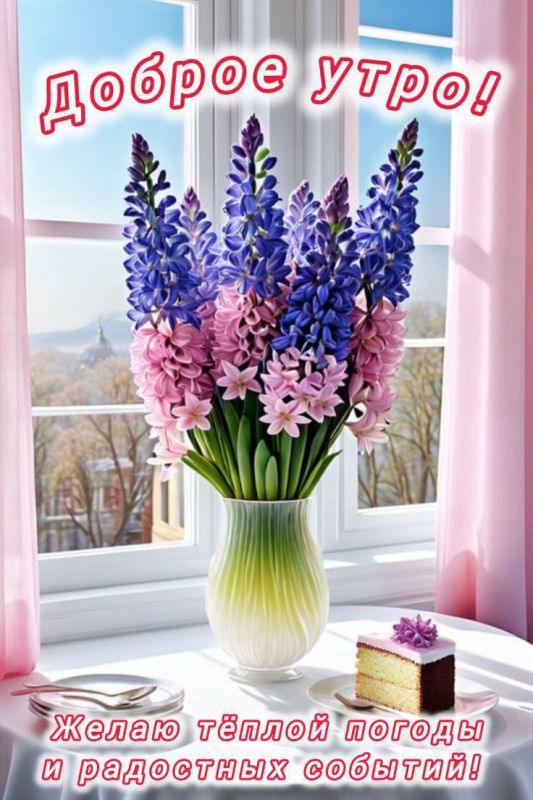 ������ ����. ������� ���� � ������� �� ���� �������� ������, ������� � ������ ������ ����������. ��� �������. ����������� �� +10 ����� �� +25 ���