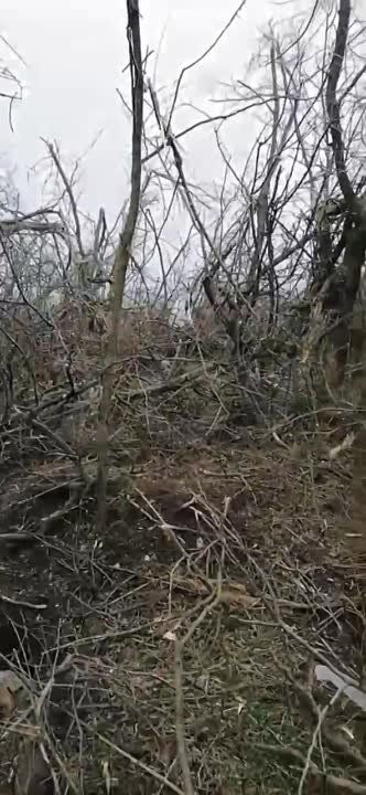 ������ ����� � ����������� ����� � ��������