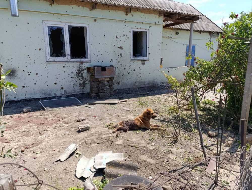 ������� ��� ������� ����� �� ������� �������� �������������� ���������� ������