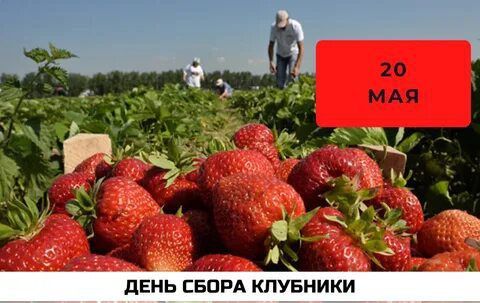 ��������� 20 ���. ��������� ���� �����-������������