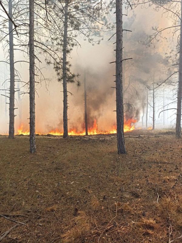 � ��� �� ���������������� ������������� ��������� ������������ ������ � ������� ��������