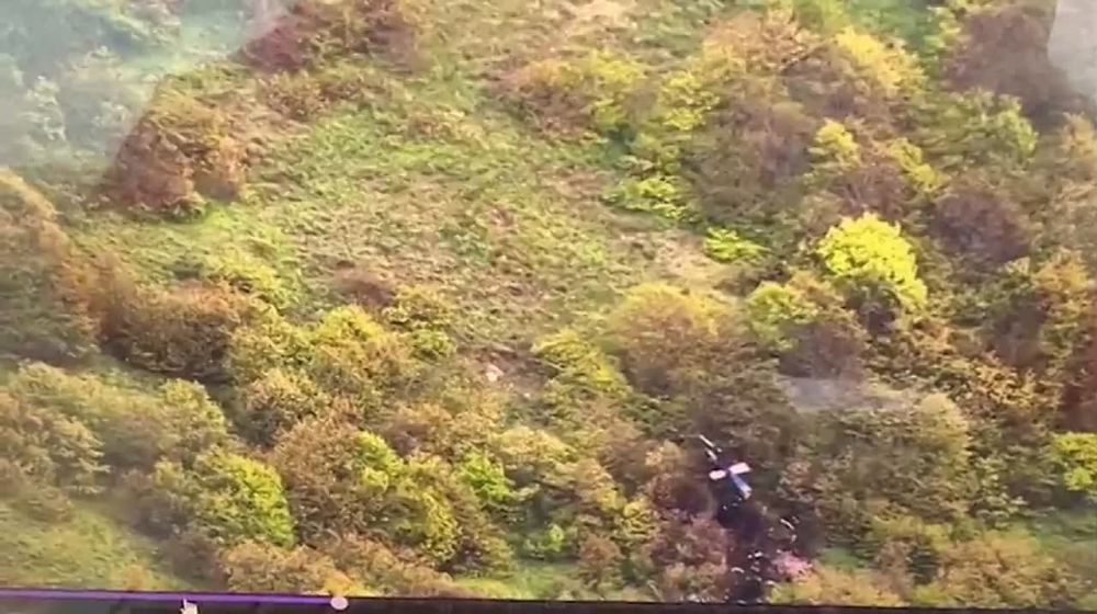 ����� �������� ��������� ���������� ����� ���� ���������� �������� ���������� ����������� �������� ����������