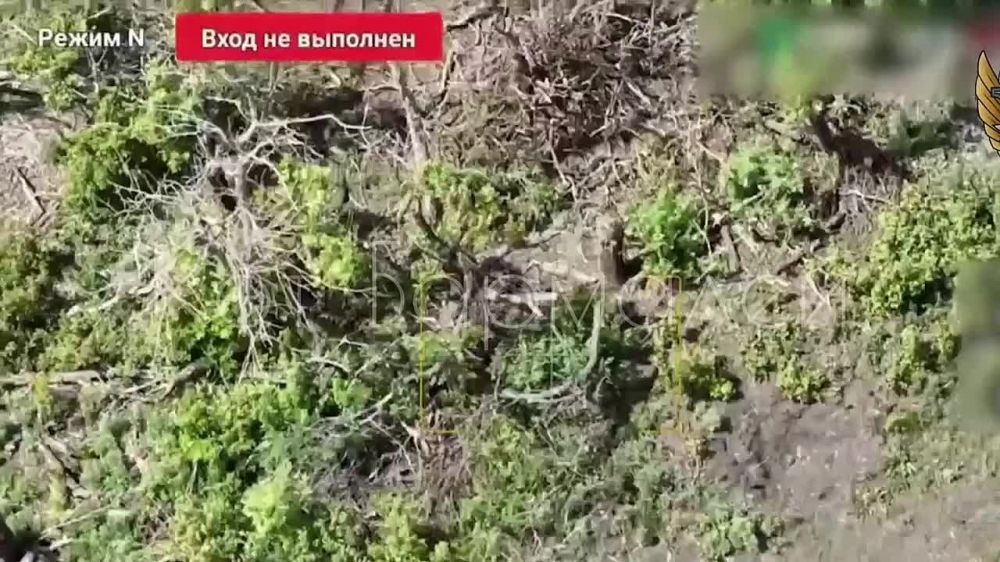 ����� ������ � ��������� ���, ����� ��� ������������ ��������� � ����