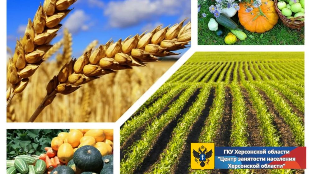 � ���������� ������������� ������ ������������ ������ ��������� ��������� ���������� ������� ���� ��������� ������� � ��������������� ����������� ���������