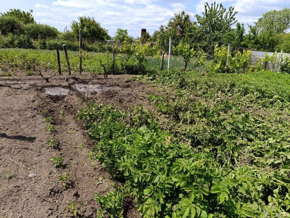 � ���������� ����������� �������� ��� ������� ���������� ���� ������� �������, ������� �������� ������