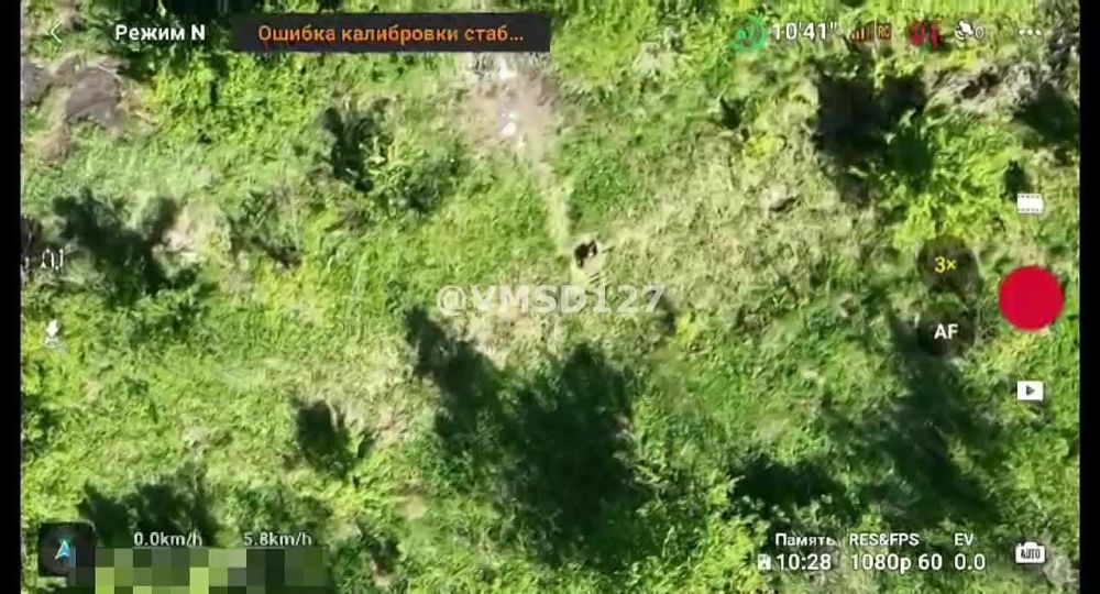 ��������� ���� ���������� ������ ���������� ������� ��������