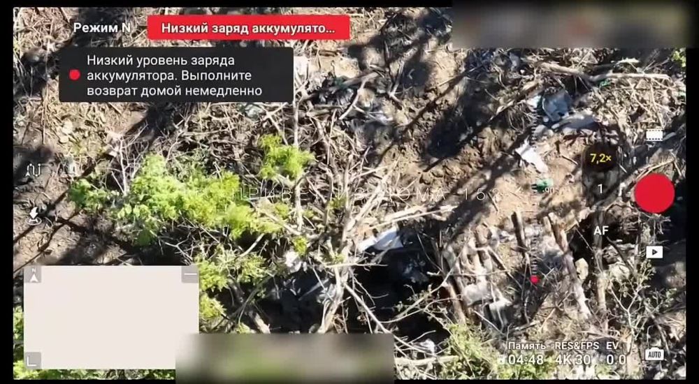 � ������ �.� ��������, �� ����� ������ ������� ���, ����� ������ ������������ ����� �����������