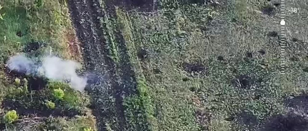 ������� �������� � �������: ���������� ���� ��������� �� ���� ������-���������