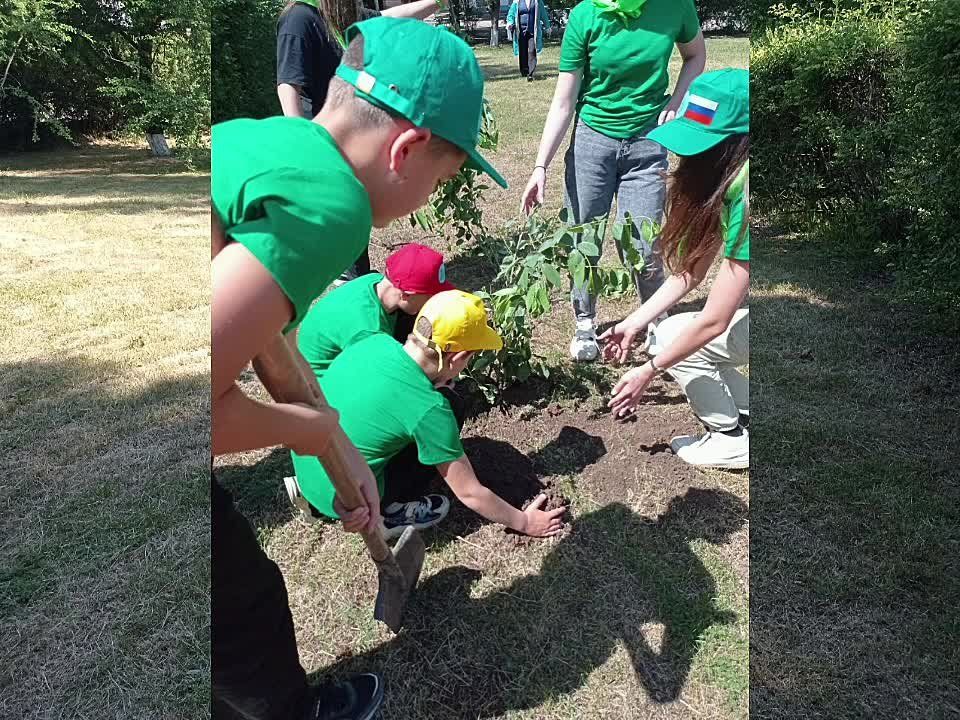 ���������� ������������� ����� ������������� � ������������� ��������� ����� "��� ����� ���������"