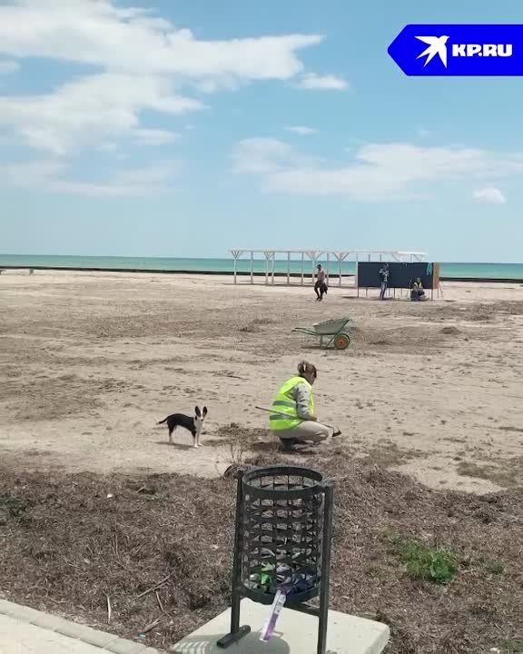 ���������� �������. � ��������� ����������� � ������� ������ ����� 4 �������� ��������� ��������� ���� ����������, ���...