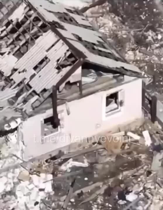 FPV-���� ���������� ��� � ��������� ������ ����������