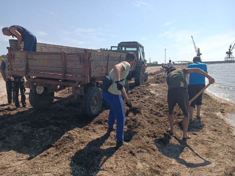 ����������� ���� ����������� ����� �������� �� ������ � ������ ���������� �������������� ���������� �������� �����