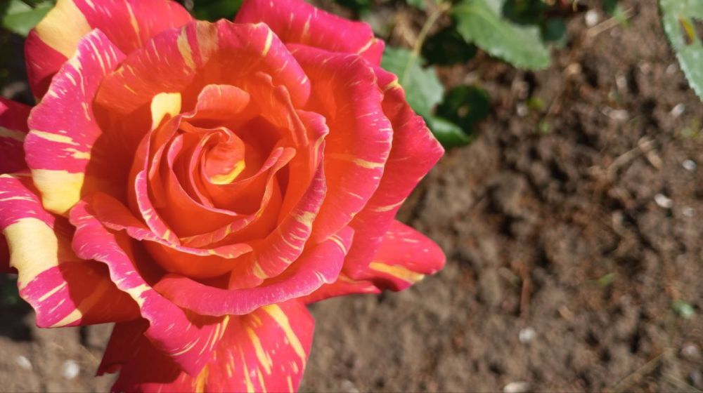 �������� ���������� - � �����