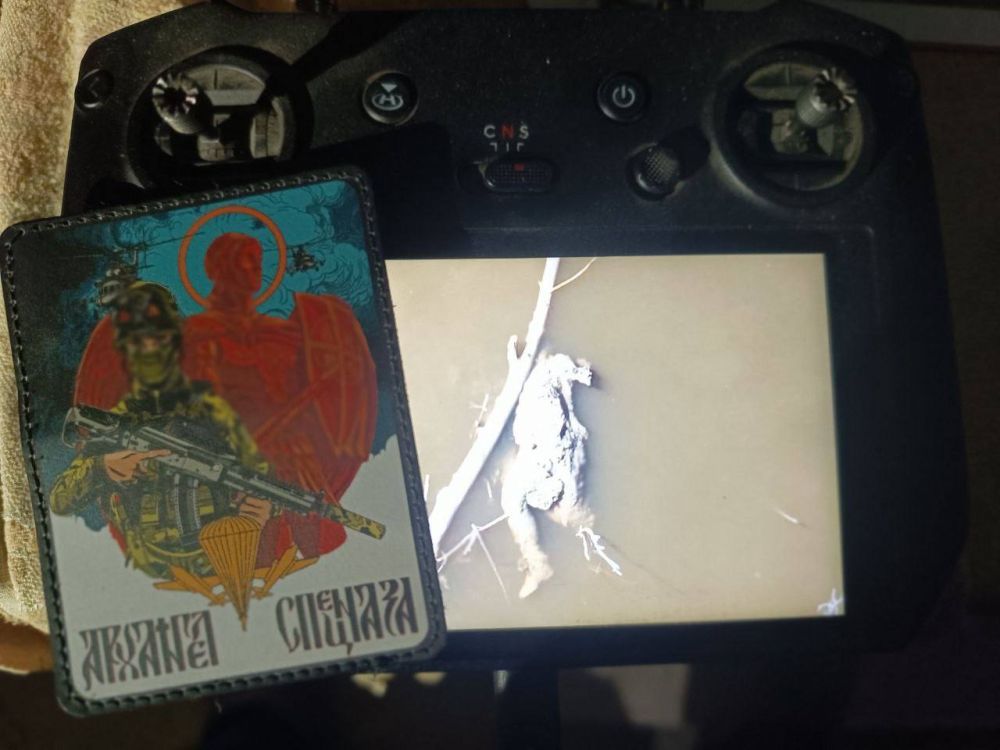 �.�����, ���������� �����������