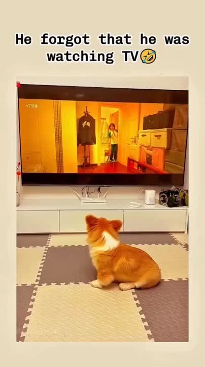 ������ ���� ������!. ��������-����� ���������� �������