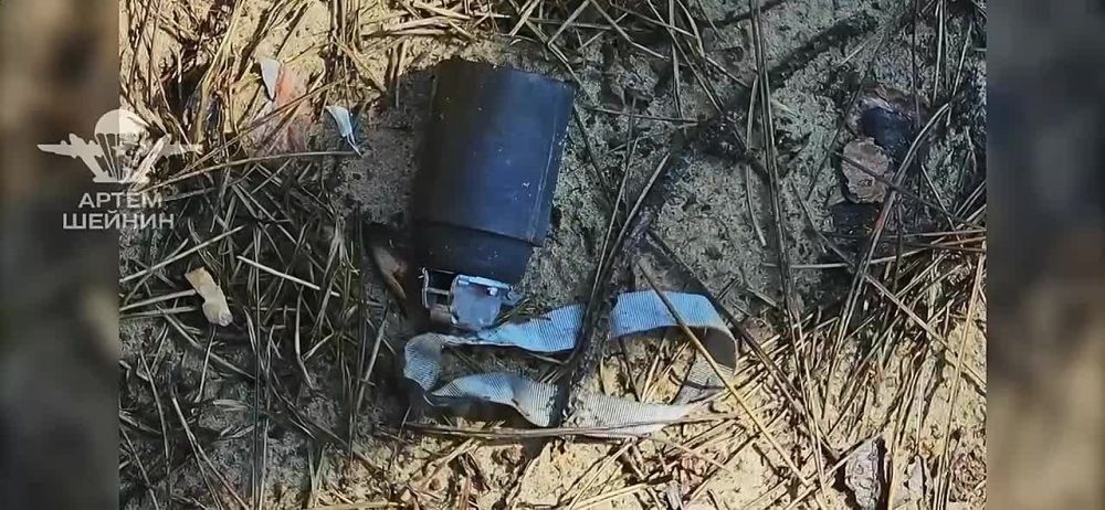 ���� ������: ���������� �������, �������� �� �������� ���������� ������