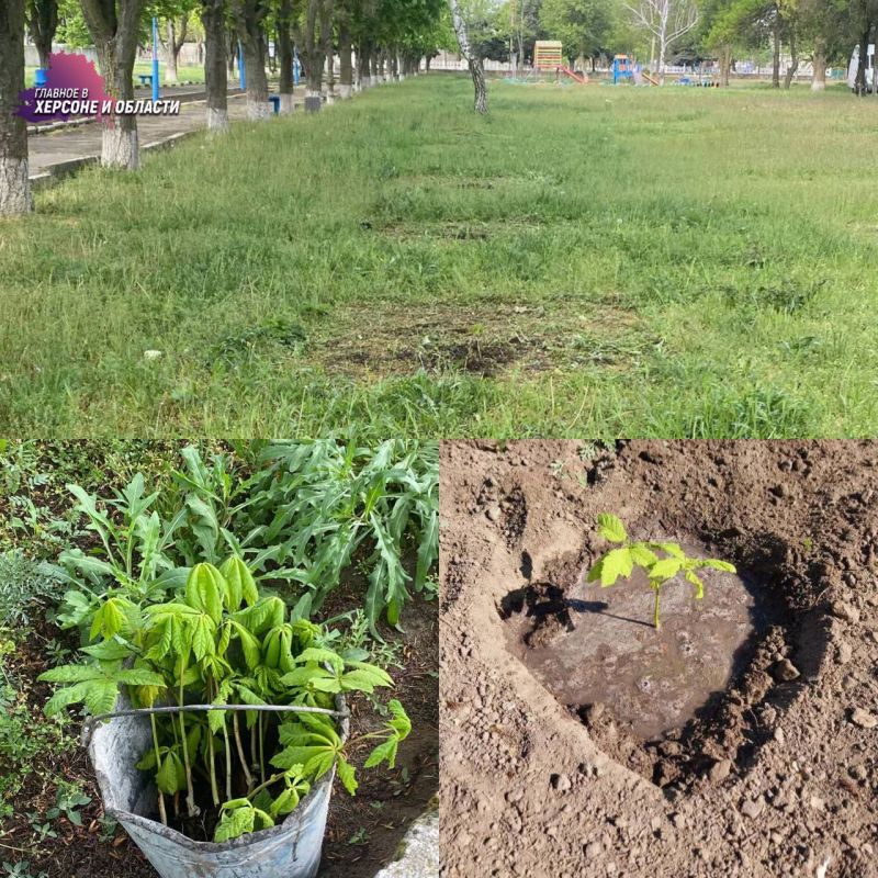 ��� ����� �������� �������� �������� �� ������������