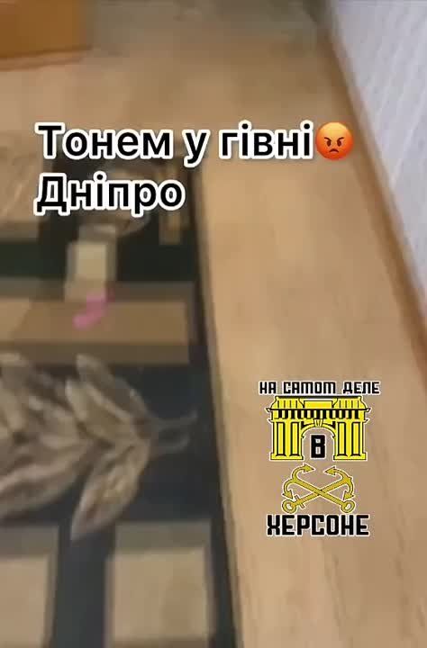 "��� �������� � �����, ���� ������������"